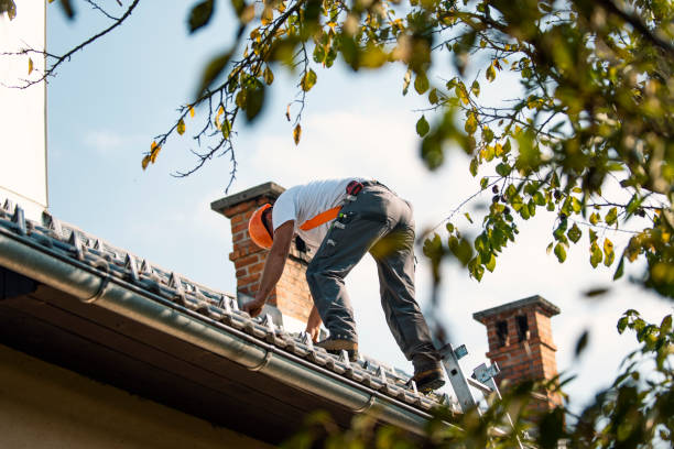 Roof Gutter Cleaning in North Hartsville, SC